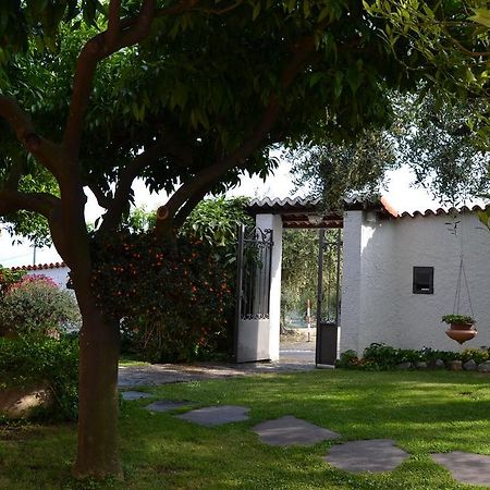 Azienda Agrituristica Villa Arianna Imperia Εξωτερικό φωτογραφία