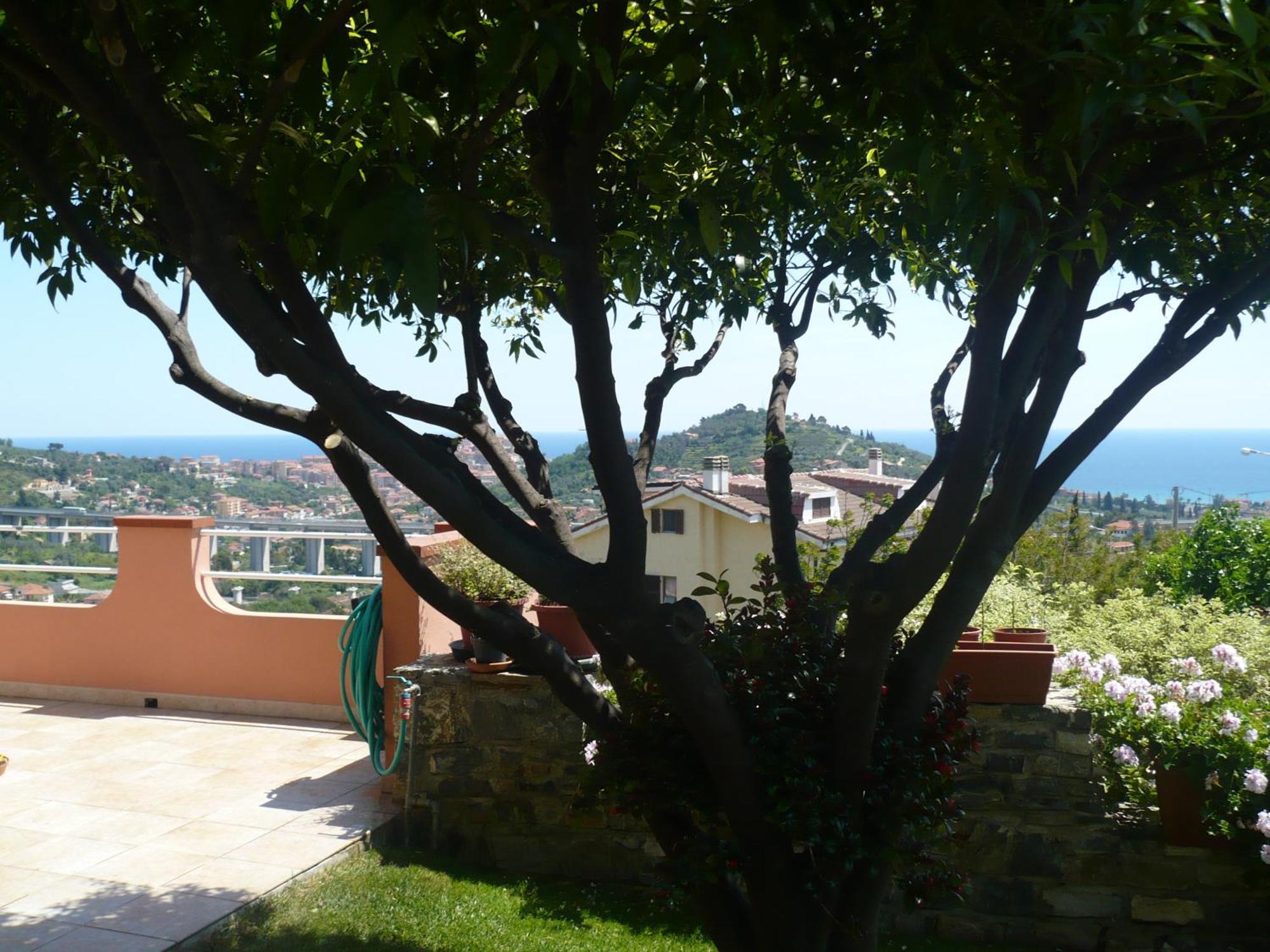 Azienda Agrituristica Villa Arianna Imperia Εξωτερικό φωτογραφία