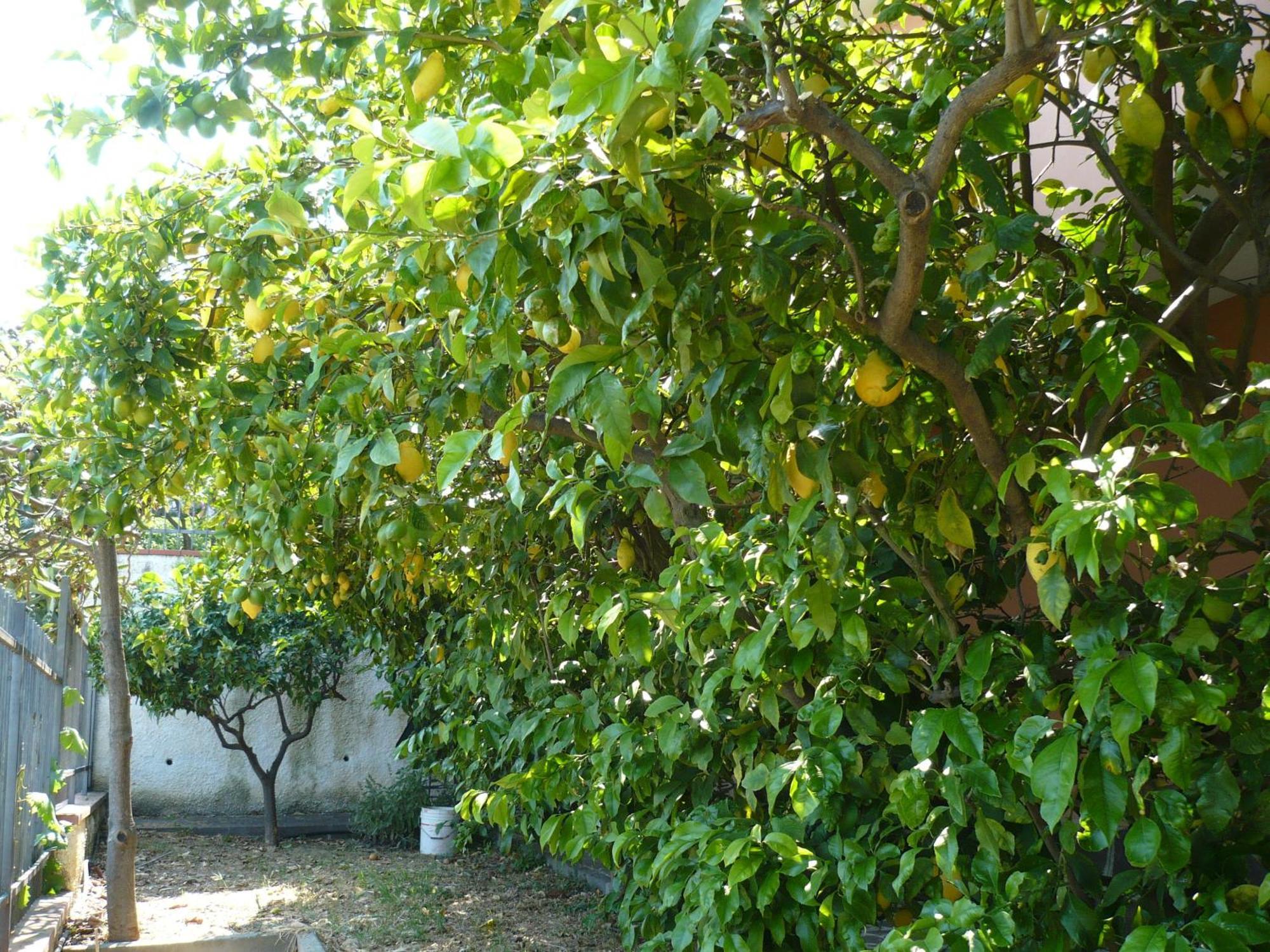Azienda Agrituristica Villa Arianna Imperia Εξωτερικό φωτογραφία