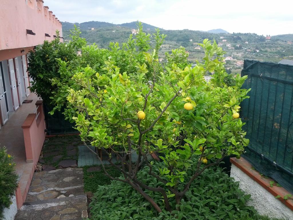 Azienda Agrituristica Villa Arianna Imperia Εξωτερικό φωτογραφία