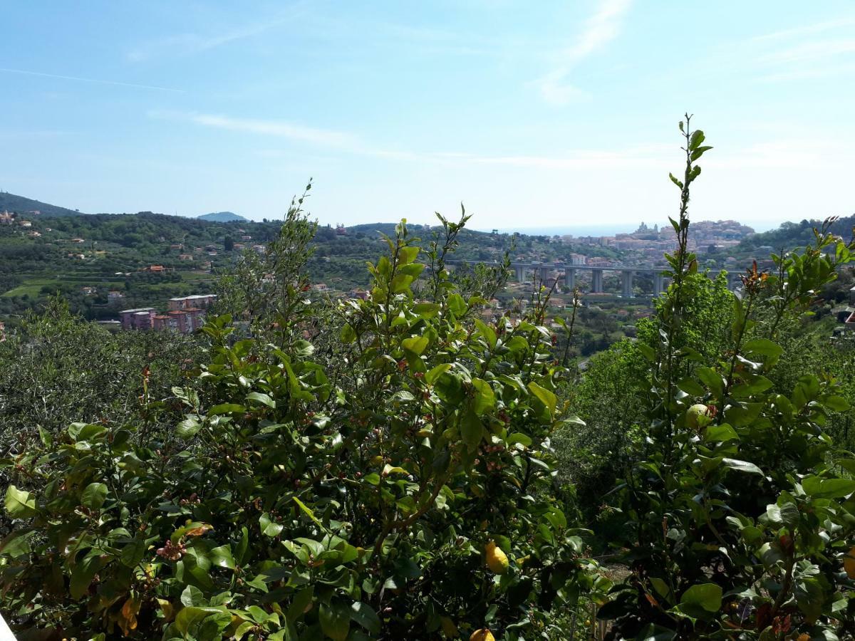 Azienda Agrituristica Villa Arianna Imperia Εξωτερικό φωτογραφία