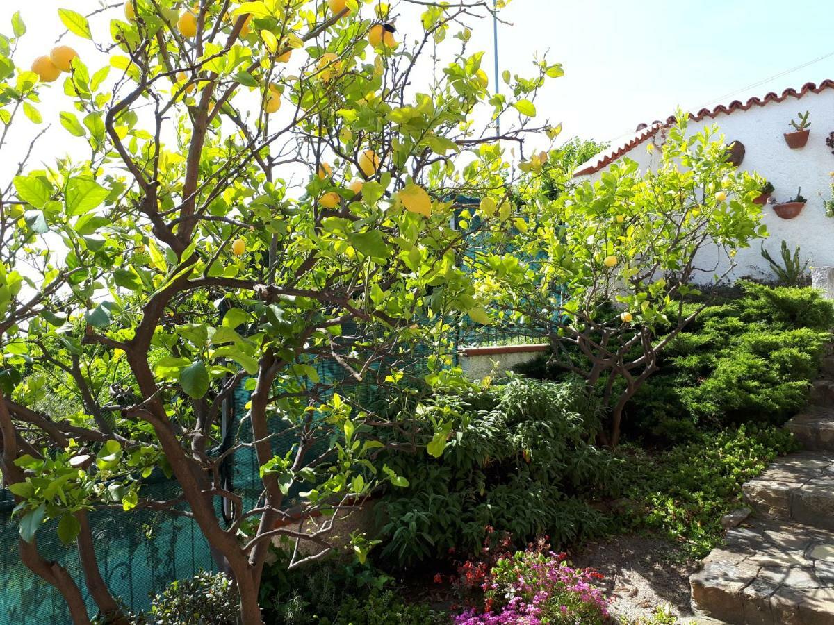 Azienda Agrituristica Villa Arianna Imperia Εξωτερικό φωτογραφία